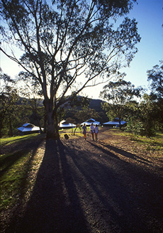 Lauriston Girls School Howqua Campus03